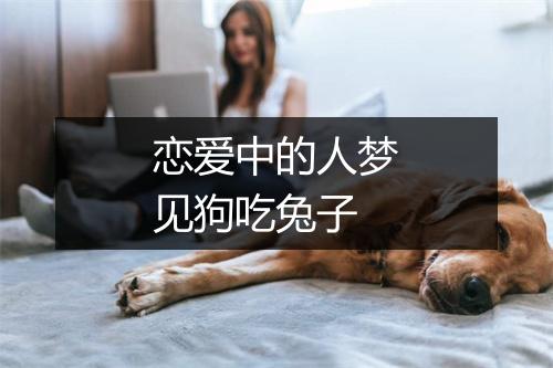 恋爱中的人梦见狗吃兔子