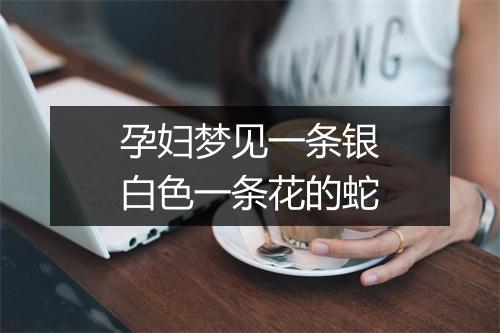 孕妇梦见一条银白色一条花的蛇