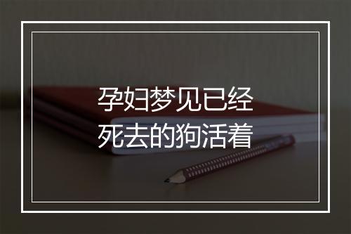 孕妇梦见已经死去的狗活着