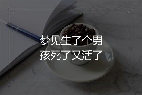 梦见生了个男孩死了又活了