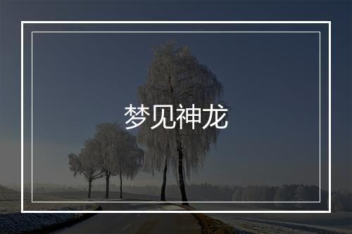 梦见神龙