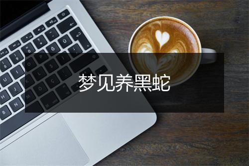 梦见养黑蛇