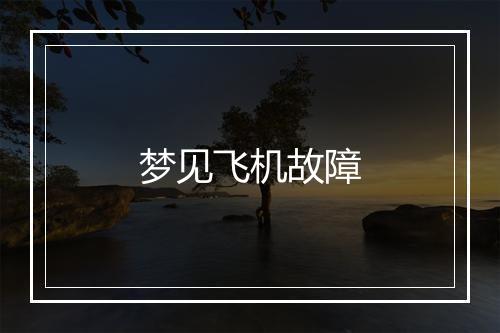 梦见飞机故障