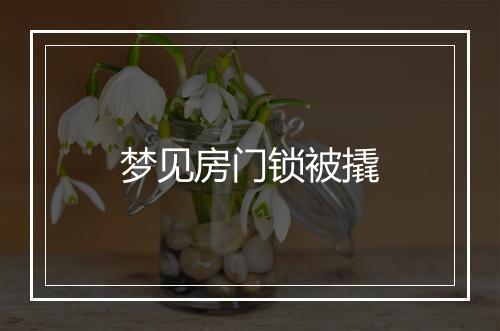 梦见房门锁被撬