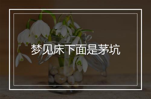 梦见床下面是茅坑