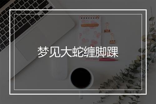 梦见大蛇缠脚踝