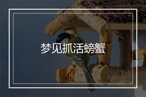 梦见抓活螃蟹