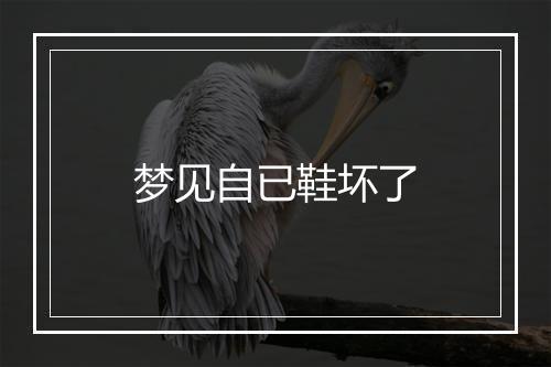 梦见自已鞋坏了