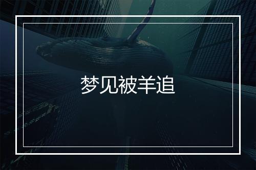 梦见被羊追