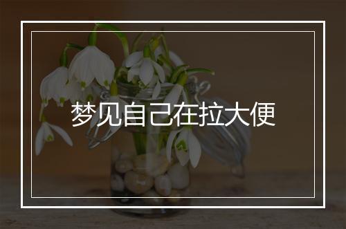 梦见自己在拉大便