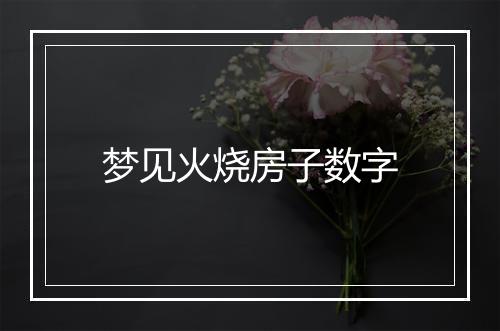 梦见火烧房子数字