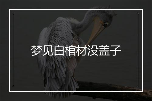 梦见白棺材没盖子