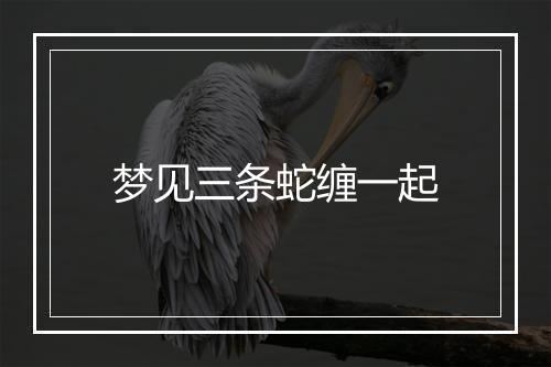 梦见三条蛇缠一起