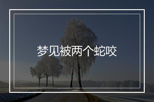 梦见被两个蛇咬