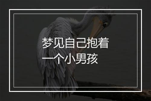 梦见自己抱着一个小男孩