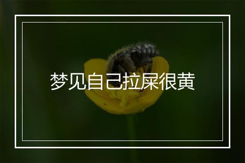 梦见自己拉屎很黄