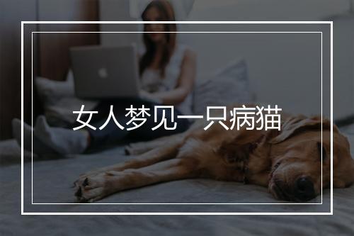 女人梦见一只病猫