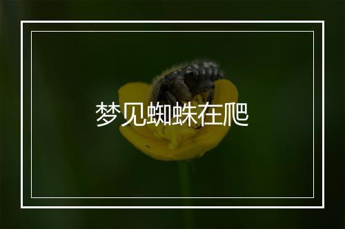 梦见蜘蛛在爬