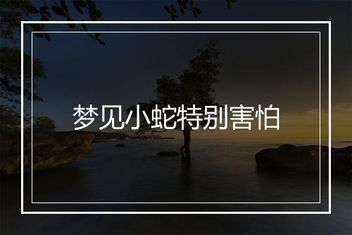 梦见小蛇特别害怕