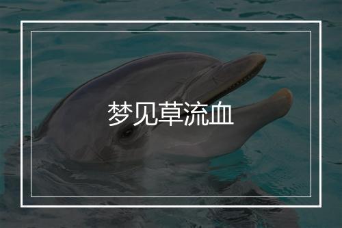 梦见草流血