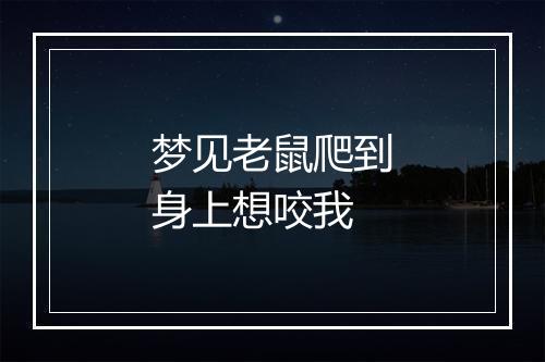 梦见老鼠爬到身上想咬我