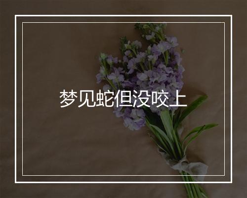 梦见蛇但没咬上