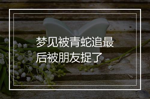 梦见被青蛇追最后被朋友捉了