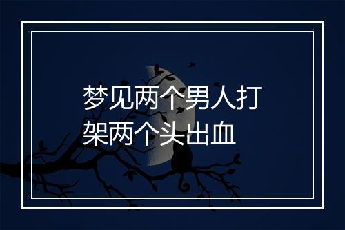 梦见两个男人打架两个头出血