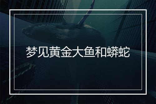 梦见黄金大鱼和蟒蛇