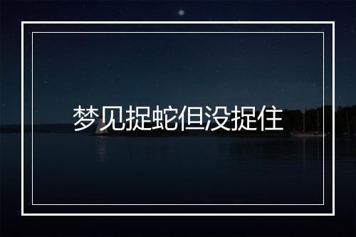 梦见捉蛇但没捉住