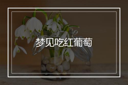 梦见吃红葡萄