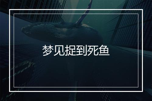 梦见捉到死鱼