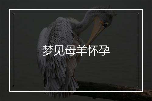 梦见母羊怀孕