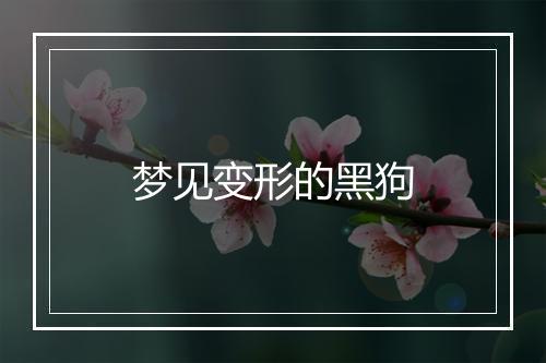 梦见变形的黑狗