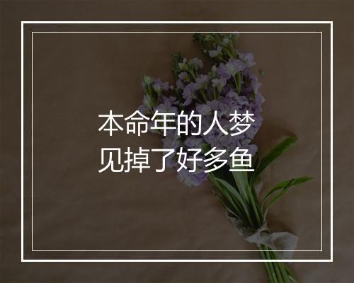 本命年的人梦见掉了好多鱼