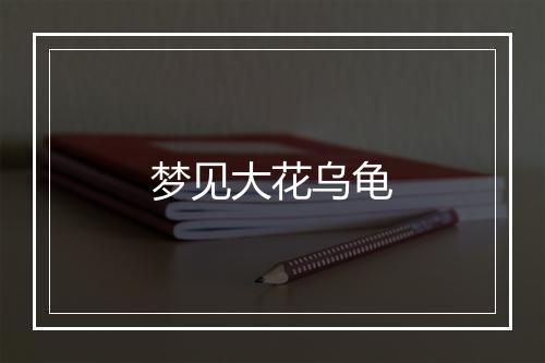 梦见大花乌龟