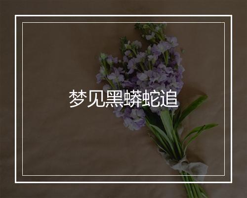 梦见黑蟒蛇追