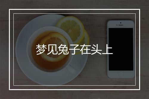 梦见兔子在头上