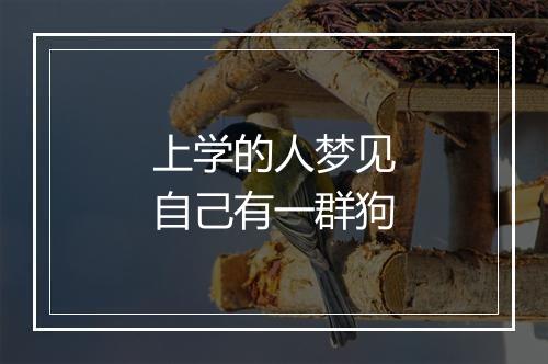 上学的人梦见自己有一群狗