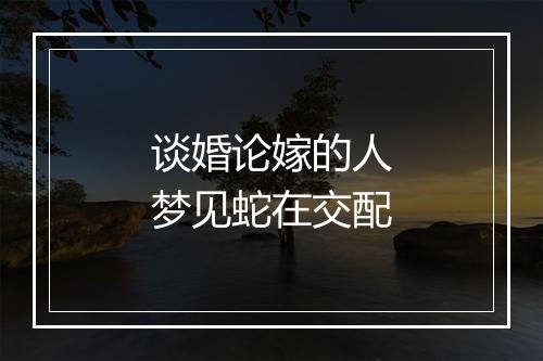 谈婚论嫁的人梦见蛇在交配