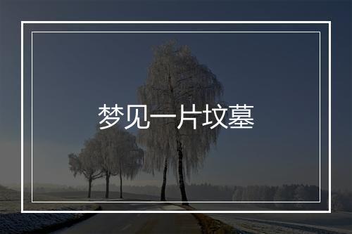 梦见一片坟墓