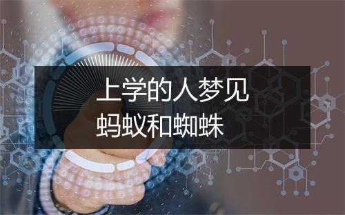 上学的人梦见蚂蚁和蜘蛛