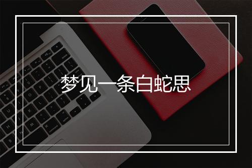 梦见一条白蛇思