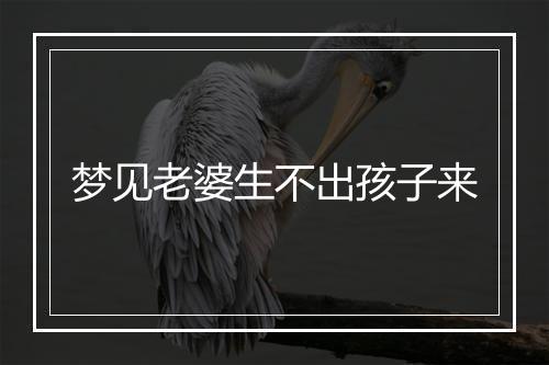 梦见老婆生不出孩子来