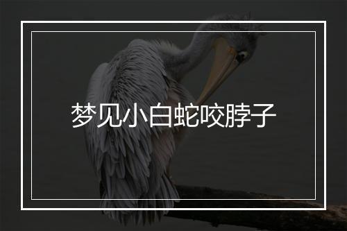 梦见小白蛇咬脖子