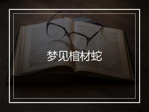 梦见棺材蛇