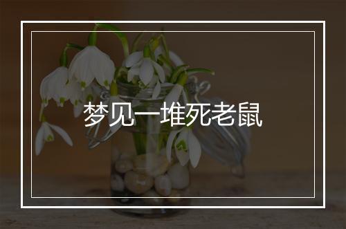 梦见一堆死老鼠