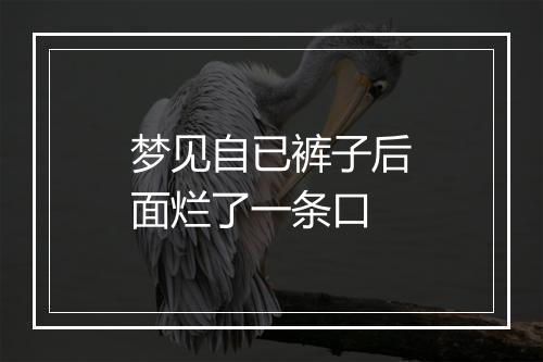 梦见自已裤子后面烂了一条口