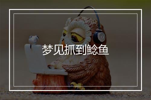 梦见抓到鲶鱼