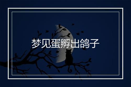 梦见蛋孵出鸽子